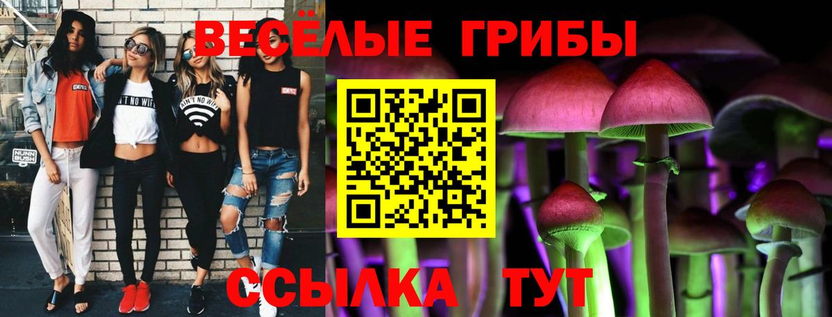 Барабинск  Псилоцибиновые грибы ЛСД  Вход с VPN 